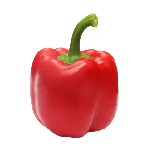 Red Capsicum