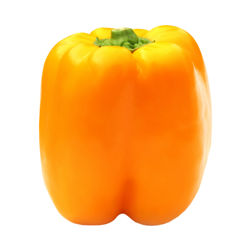 Yellow Capsicum
