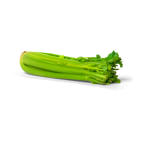 Celery