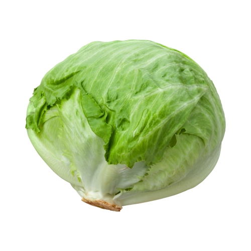 Iceberg Lettuce