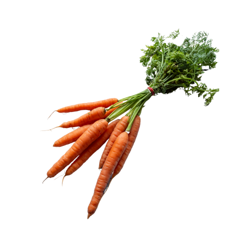 Dutch carrots