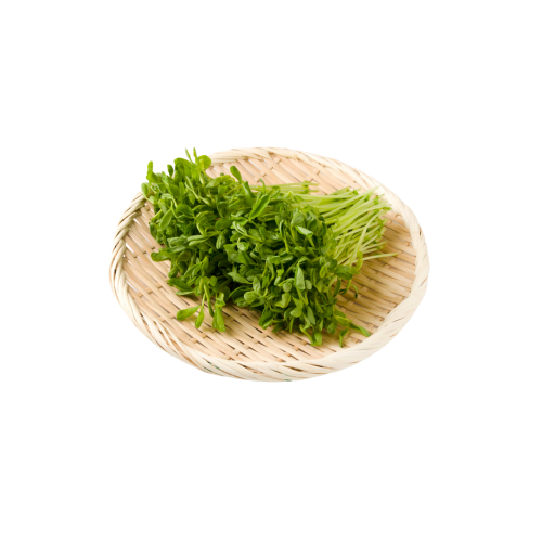 Pea Sprouts